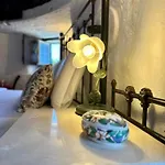 Casa de Férias Moinho Da Guimaroa *